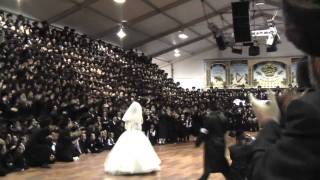 Bobover Wedding In Floyd Bennett Field 2009 15/16 Watch in HD