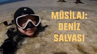 MÜSİLAJ: DENİZ SALYASI