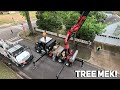 Removing problem trees with the tree Mek