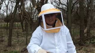 BV Ag Daily [04/03/20] - Beekeeping with Annelle