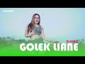 GOLEK LIANE - DELIA SALSABILLA (OFFICIAL DANCE VIDEO)