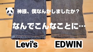 245：EDWINが、、、僕の503が、、、