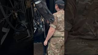 HORSE NIPS POLICE & SOLDIER ⚠️🐎 | Horse Guards, Royal guard, Kings Guard, Horse, London, 2024