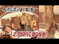 【七輪焼肉 安安】メニューも豊富で大満足！2,750円で焼肉食べ放題！