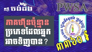 មានភាគហ៊ុនប៉ុន្មានប្រភេទដែលអ្នកអាចទិញបាន? [How Many Company are listed on CSX?]