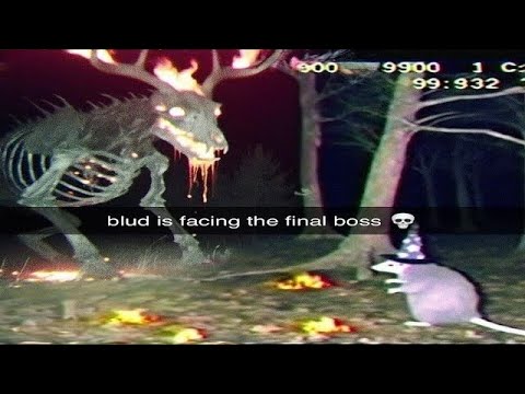 Unusual Memes Compilation V3 Youtube