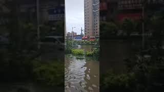 暴雨之后的积水。