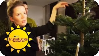 Weihnachtsbeleuchtung im Test | SAT.1 Frühstücksfernsehen