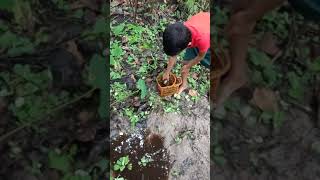 ഒരുപാട് പേരുകൾ ഉള്ള കേരളത്തിലെ ഏക മീൻ 🐟😄 #shorts #kerala fishing videos