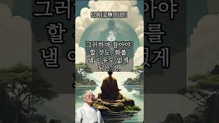 인욕(忍辱)이란? - 진우스님의 오늘의 명상  #명상 #불교 #진우스님