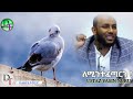 ለሚን ተፈጣርን ustaz yasin nuru new amharic dawa ልብ የለው ልብ ይበል @darultowhid