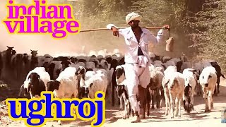 INDIAN VILLAGE LIFE  Ughroj Gujarat