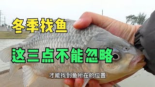 6个钓友连续3天空军，鱼去哪了？实战证明冬季找鱼这3点不能忽略