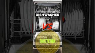 Dishwasher Vs Bacteria Who Will Win