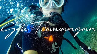 Diving Indonesia - Gili Trawangan (SSI Navigation)