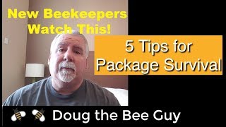 Installing Package Bees Survival Tips For the Beginner