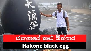 Hakone trip day - 01| හකොනෙ සංචාරයේ පළමු දිනය #salindasenarath