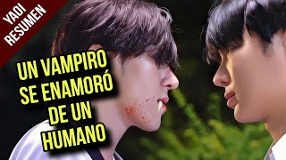 🧡RESUMEN: Un vampiro se enamoró de un universitario (1000 years old) #1000yearsold #raikantopeni #bl