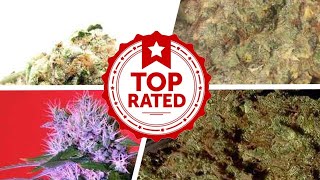 The Best Weed For Sex 💟