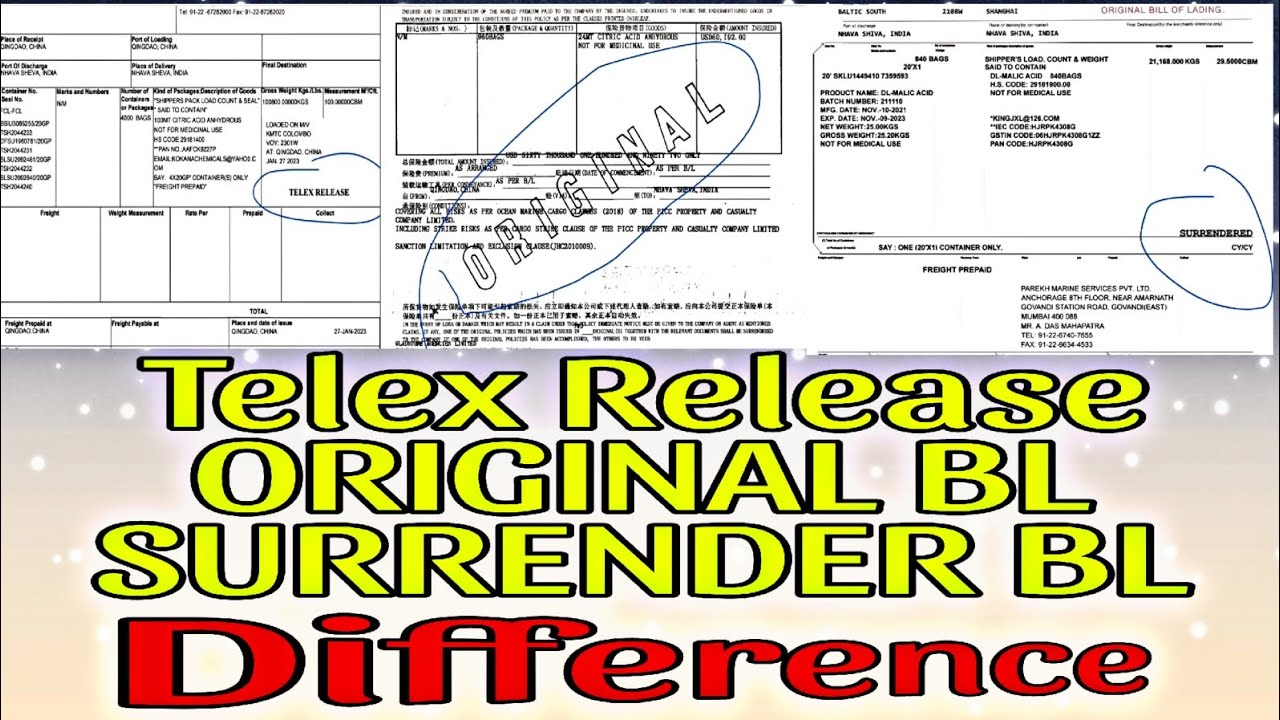 What Is Bill Of Lading | Original BL | Telex Release BL | SURRENDER BL ...