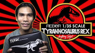 Unboxing another T-REX but this time it's a FAT one! | Rebor 1/35 Scale Dinosaur (Tyrannosaurus Rex)