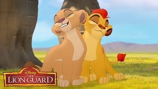 Hakuna Matata! | The Lion Guard | Disney Junior