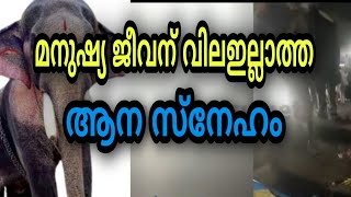 തെച്ചിക്കോട്ട്കാവ് രാമചന്ദ്രൻ | ജനങ്ങളുടെ ജീവന് എന്ത് വിലയാണ് ഉള്ളത് | ആര് സമാധാനം പറയും?