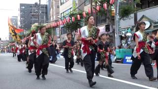 庄和ソーラン 輝／B会場／草加駅前よさこいサンバフェスティバル2016（初日）