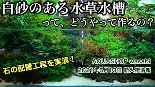 白砂のある水草水槽の作り方 AQUASHOP wasabi２０２１年５月１３日新入荷情報ＡＤＡネイチャーアクアリウム立ち上げ初心者、ソイル敷き分け水草水槽、流木レイアウト、石組レイアウト、山水石