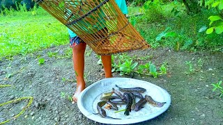 Amazing Fishing Video। Bangladesh Fishing Trap।Amazing Chai Fishing Video