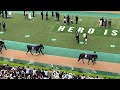 【安田記念2023】パドック全馬登場 現地映像