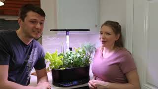 Aerogarden Bounty: Update \u0026 Review – Day 41