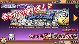 【にゃんこ大戦争】ウルトラソウルズ確定ガチャでまさかの結果に！？