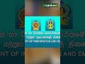 இன்று முதல் 24 மணி நேரச் சேவையில் குடிவரவு மற்றும் குடியகல்வுத் திணைக்களம் lanka4news