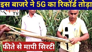 इस बाजरे ने 5G का रिकॉर्ड तोड़ा | तुर्की से आया बाजरा | इतनी लंबी सिरटी नहीं देखी होगी | Padtal TV