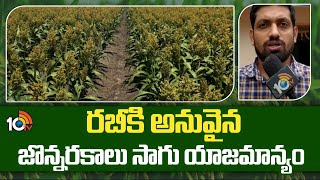 రబీకి అనువైన జొన్నరకాలు సాగు యాజమాన్యం | Varieties Of Sorghum Seeds For Rabi Season | Matti Manishi