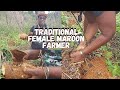 TRADITIONAL FEMALE MAROON FARMER IN JAMAICA|SHE HAS ONE OF THE LARGEST YAM FARM IN ACCOMPONG JAMAICA