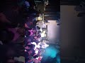 Xq live in melbourne