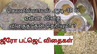 ஆடிப்பட்டம் 2021/ஆடி 18 ல்  நான் விதைத்த விதைகள்/ஜீரோ பட்ஜெட் விதைகள்/