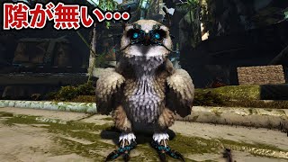 【ARK】上級者が100%テイムしているチート性能な生物！雪フクロウをテイムするッ！！