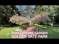 Shakespeare Garden - Golden Gate Park // What To Do San Francisco 2021 #shorts