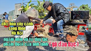 Ngắm nhìn và tư duy tác phẩm Duối của anh LÀNH ( gã đầu bạc) chợ hoa cây cảnh   -Long Biên - Hà Nội