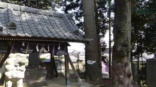 八剱神社[南生実町]＠千葉県(2014.03.28)＜パワスポ55555＞