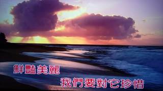 愛苗 [日本曲: なみだの操] ~ 快樂老宅  翻唱