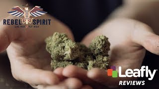 Rebel Berry OG by Rebel Spirit Cannabis– Leafly Reviews