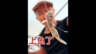 表面是躲避上司实际上是打造海岛世外桃源，明天开始搭建海景别墅