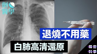 ！急救！沒有退燒藥如何退燒？出現白肺可以高清還原？ 【倒米醫學】（廣東話中文字幕）