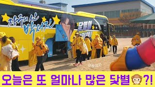 몇 대의 닻별호?? 먼 길 달리고 달려 도착 중! [240316 박서진 칠원 고을 줄다리기 축제]