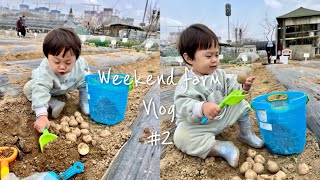 [Vlog] 도심 속 5평 주말농장👶🏻| 3월 농사 | 봄이 왔어요🌸