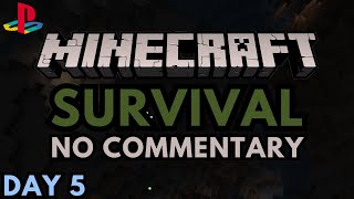 Minecraft - Relaxing Survival Gameplay (Relax Study Sleep - ASMR) Day  #5 Cave Playstation 5 Edition